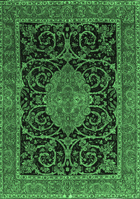 Medallion Emerald Green Traditional Rug, tr15emgrn