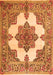 Medallion Orange Traditional Rug, tr1600org