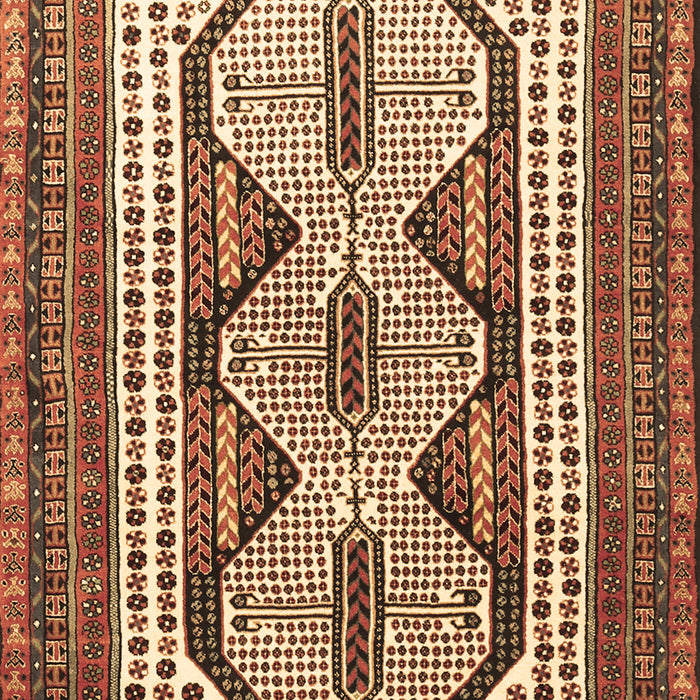 Persian Brown Traditional Rug, tr1602brn