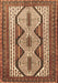 Machine Washable Persian Brown Traditional Rug, wshtr1602brn