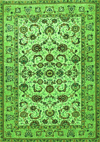 Persian Green Traditional Rug, tr1605grn