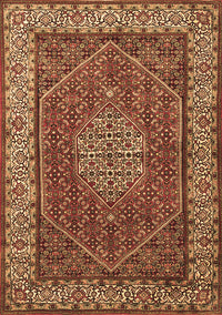 Persian Brown Traditional Rug, tr1606brn