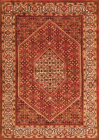 Persian Orange Traditional Rug, tr1606org