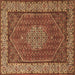 Square Machine Washable Persian Brown Traditional Rug, wshtr1606brn