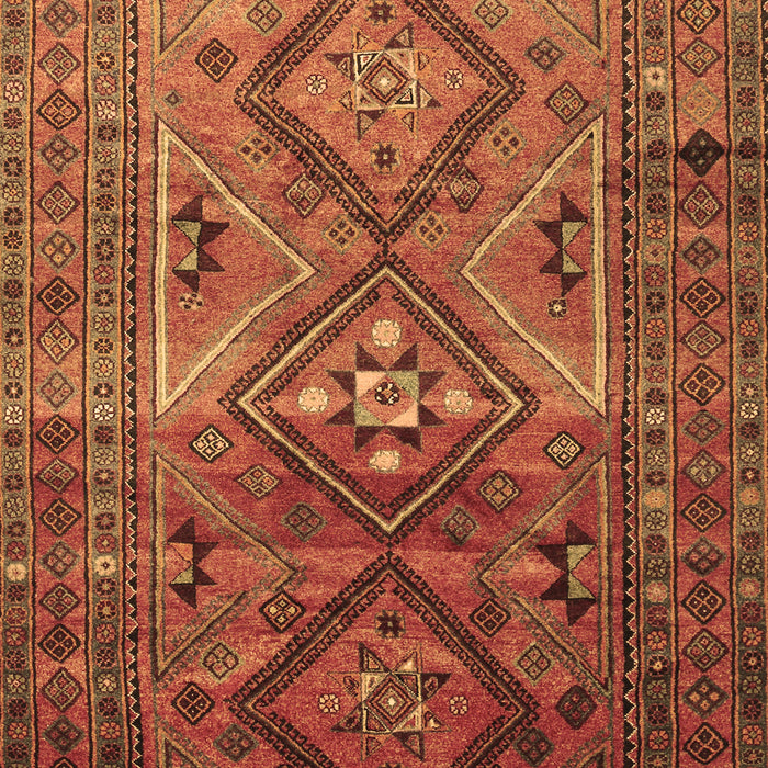 Machine Washable Southwestern Brown Country Rug, wshtr1607brn