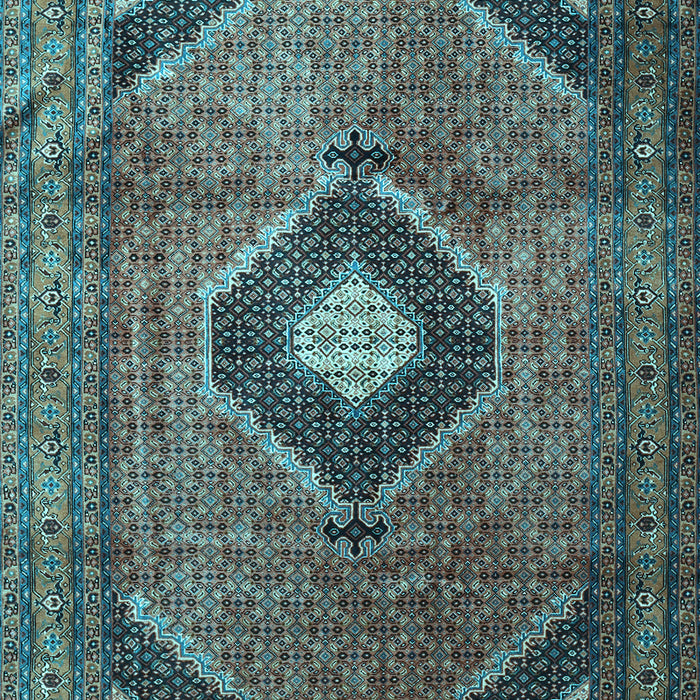 Medallion Light Blue Traditional Rug, tr1608lblu