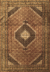 Medallion Brown Traditional Rug, tr1608brn