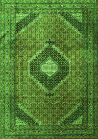 Medallion Green Traditional Rug, tr1608grn