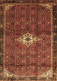 Persian Brown Traditional Rug, tr160brn
