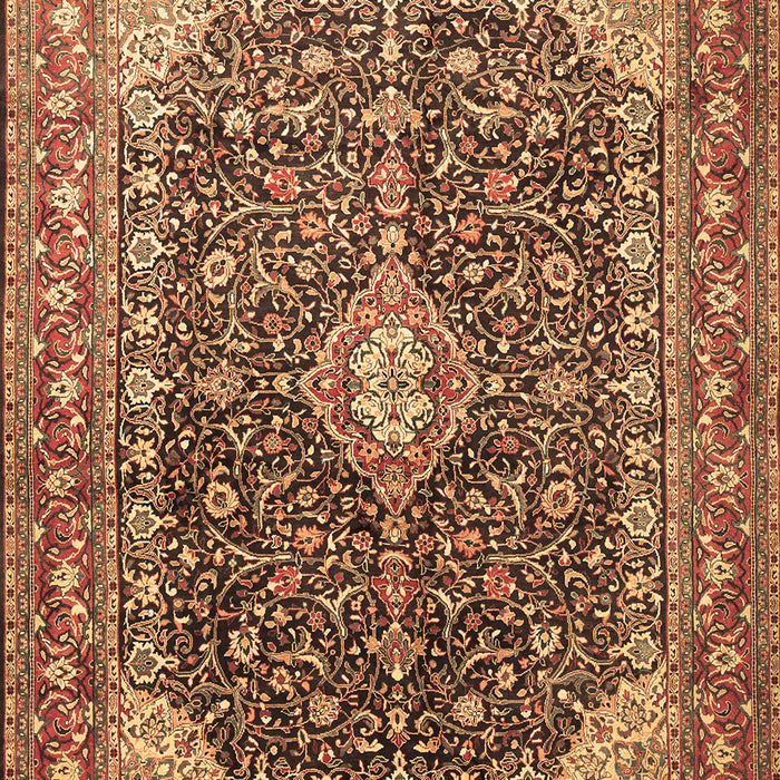 Medallion Brown Traditional Rug, tr1610brn