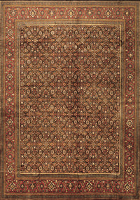 Persian Brown Traditional Rug, tr1616brn