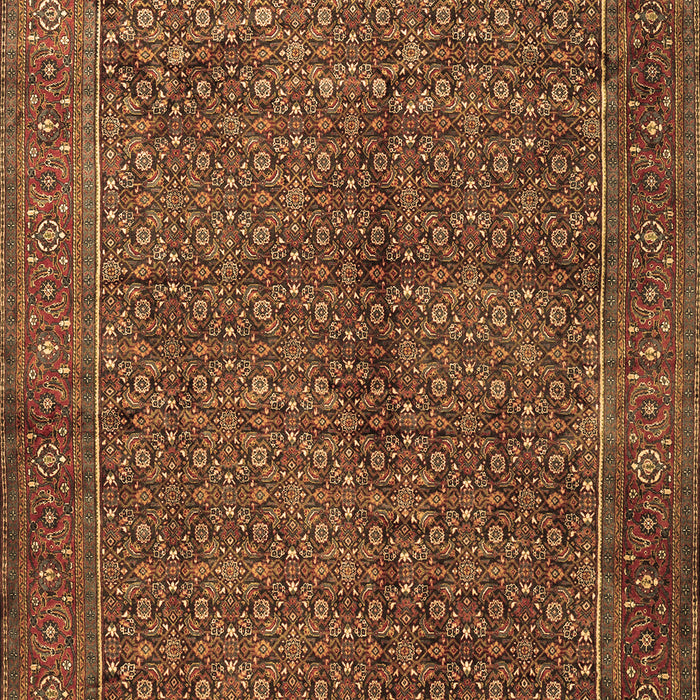 Persian Brown Traditional Rug, tr1616brn