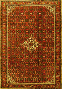 Persian Yellow Traditional Rug, tr1619yw