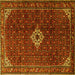 Square Persian Yellow Traditional Rug, tr1619yw