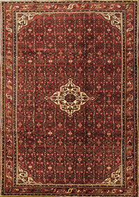 Persian Brown Traditional Rug, tr1619brn