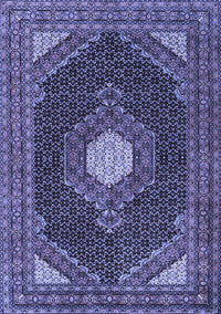 Medallion Blue Traditional Rug, tr1623blu