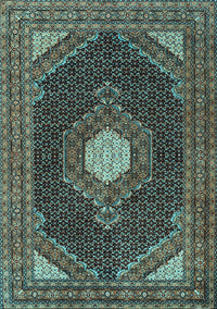 Medallion Light Blue Traditional Rug, tr1623lblu