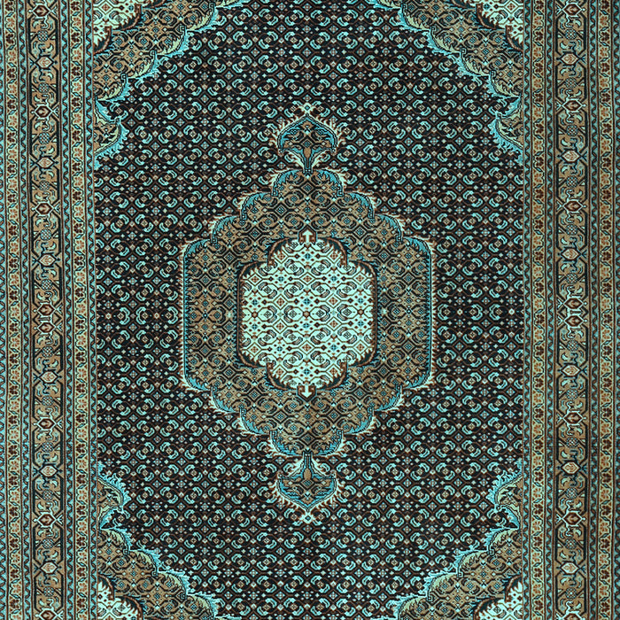 Medallion Light Blue Traditional Rug, tr1623lblu