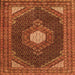 Serging Thickness of Medallion Orange Traditional Rug, tr1623org