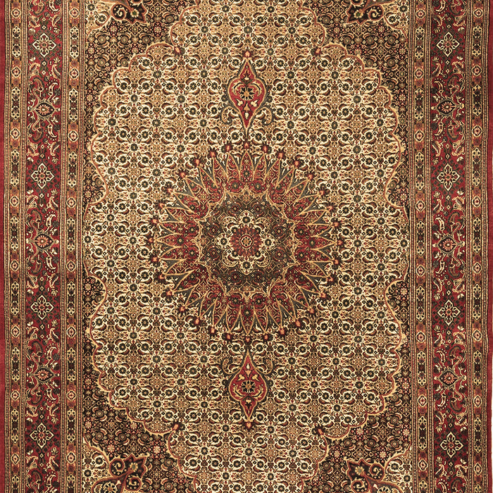 Medallion Brown Traditional Rug, tr1625brn