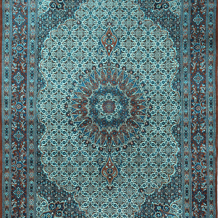 Medallion Light Blue Traditional Rug, tr1625lblu