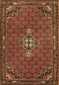 Persian Brown Traditional Rug, tr1628brn