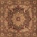 Square Machine Washable Persian Brown Traditional Rug, wshtr1631brn