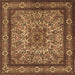 Square Persian Brown Traditional Rug, tr1632brn