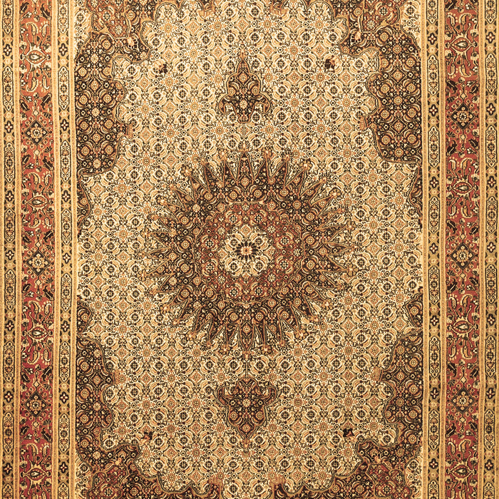 Medallion Brown Traditional Rug, tr1637brn