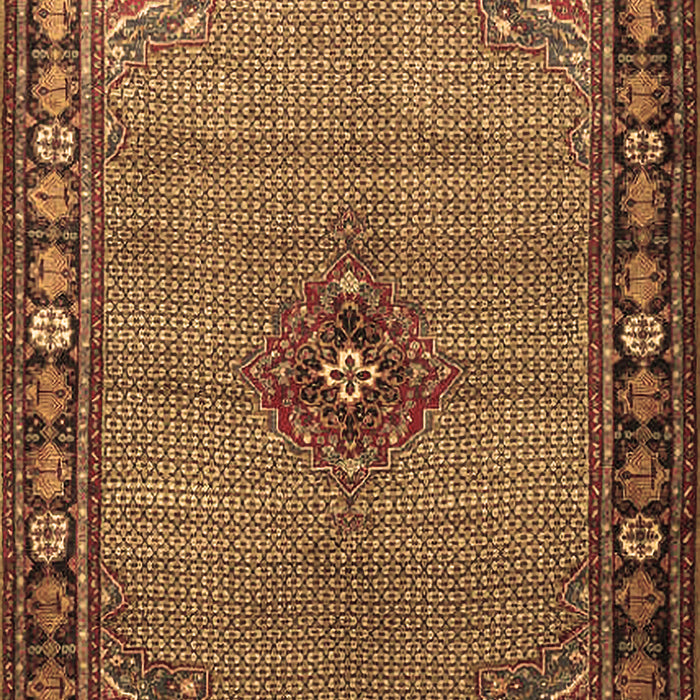 Persian Brown Traditional Rug, tr1638brn