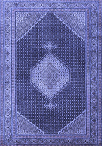 Medallion Blue Traditional Rug, tr1639blu