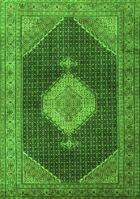 Medallion Green Traditional Rug, tr1639grn