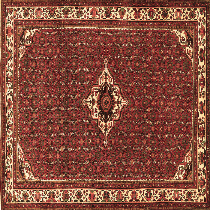 Square Persian Brown Traditional Rug, tr1640brn