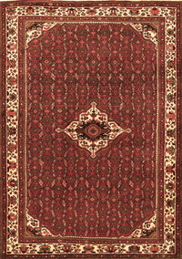 Persian Brown Traditional Rug, tr1640brn
