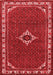 Persian Red Traditional Area Rugs
