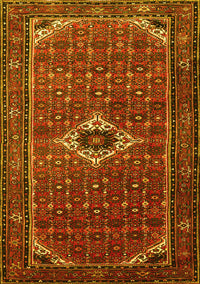 Persian Yellow Traditional Rug, tr1641yw