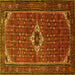 Square Persian Yellow Traditional Rug, tr1641yw