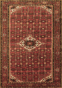 Persian Brown Traditional Rug, tr1641brn