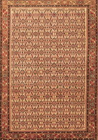 Persian Brown Traditional Rug, tr1642brn