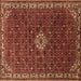 Square Persian Brown Traditional Rug, tr1643brn