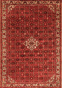 Persian Orange Traditional Rug, tr1643org