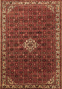 Persian Brown Traditional Rug, tr1643brn