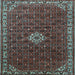 Square Persian Light Blue Traditional Rug, tr1643lblu