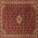 Square Machine Washable Persian Brown Traditional Rug, wshtr1643brn