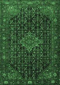 Persian Emerald Green Traditional Rug, tr1645emgrn