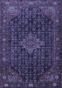 Persian Blue Traditional Rug, tr1645blu