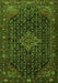Persian Green Traditional Rug, tr1645grn