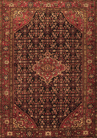 Persian Brown Traditional Rug, tr1645brn