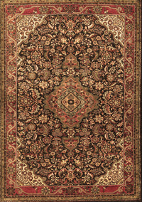 Medallion Brown Traditional Rug, tr1648brn