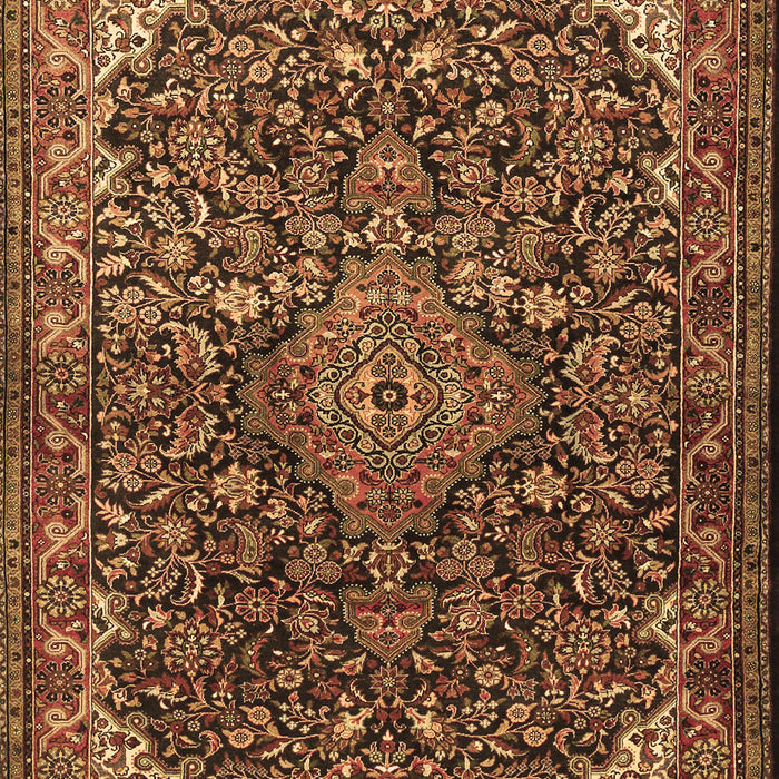 Medallion Brown Traditional Rug, tr1648brn